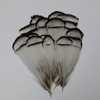 Десять белых медных куриных волос головы 10, № 21