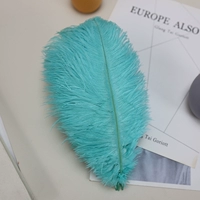 Монетный зеленый цвет 1