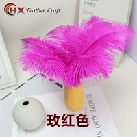 Роза красная