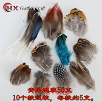 Зеленый Cui смешанный 50 ветви