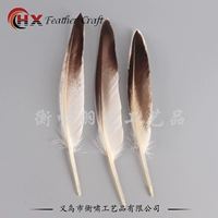 Остроконечные цветочные перья утки оригинальный цвет 50 шт.