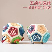 ins south korea early education recommends baby five senses busy ball disassembly assembled multifunction baby hand grab ball toy