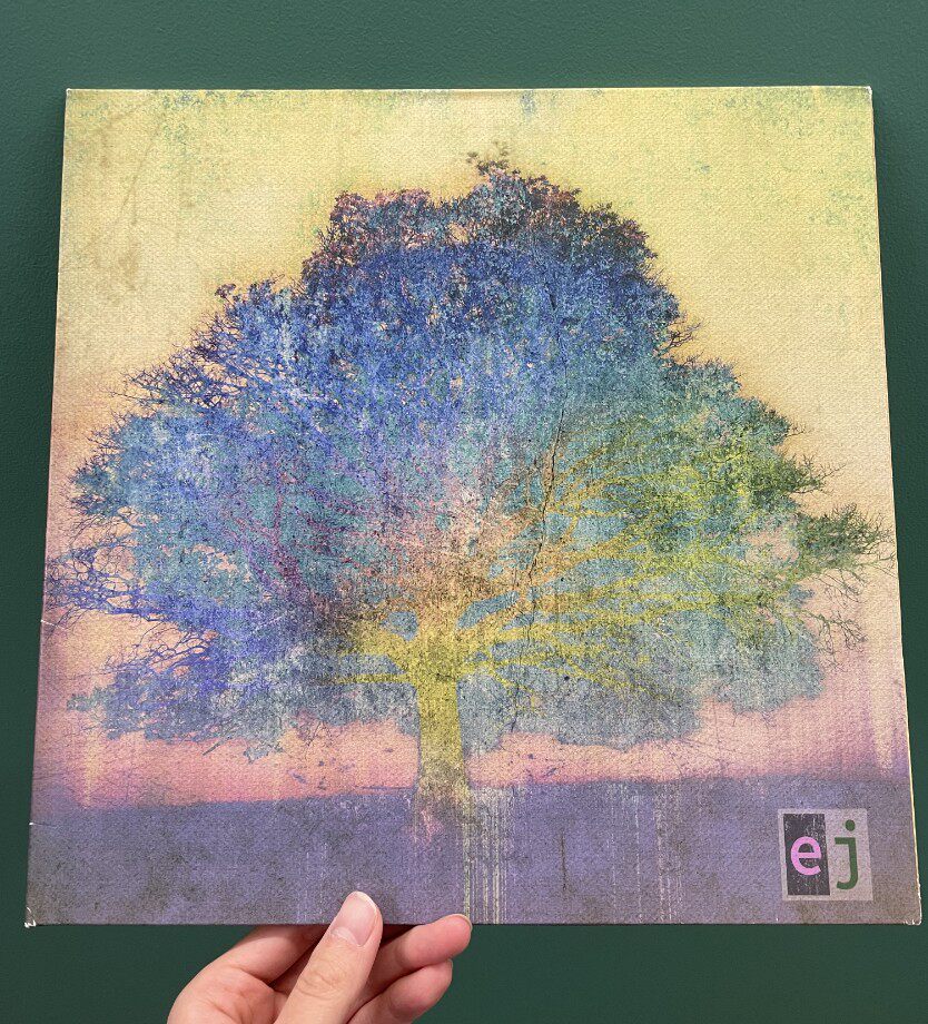 Ordering Guitar Master Eric Johnson-EJ vinyl LP New Not Disassembled