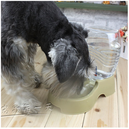 Bobo bobo sitting drinking fountain automatic water refilling pet water bowl drinking machine water feeder water mouth dog water bowl universal