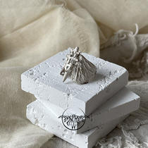 HeyJewel original design blackmothlab dark niche design Sterling silver birch ruler moth ring tail ring female