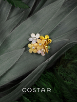 HeyJewel original design COSTAR play flower firefly corsage high-end brooch female design birthday gift