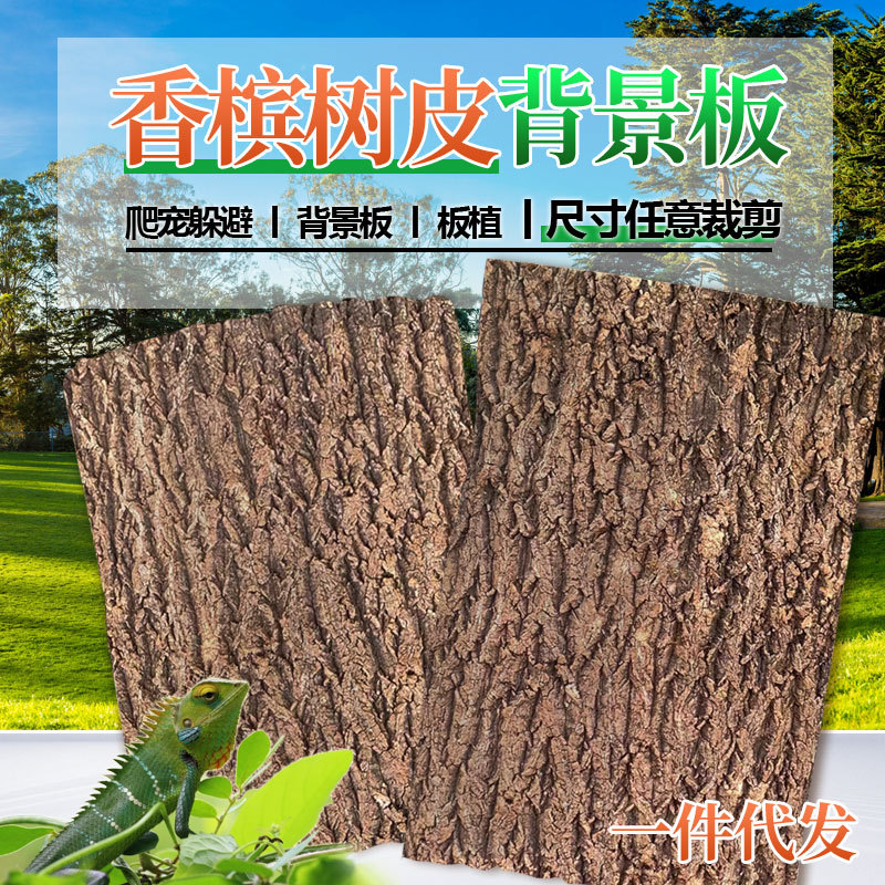 Real Bark Cork Champagne Bark Reptile Tank Landscaping Green Plant Wall Decoration Aquarium Wall Planting Board Background Board
