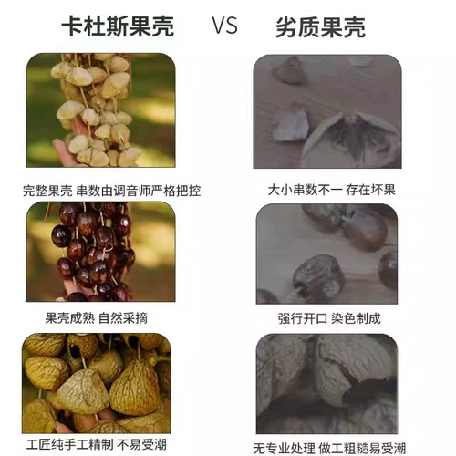 卡杜斯 Индонезийский ореховый колокольчик