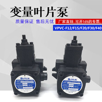 Hydraulic oil pump VPVC-F20 F12 F30 F40-A4 A2 A3 A1-02A A1-02A A1-02A 031A vane pump