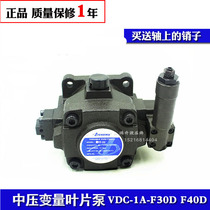 Variable vane pump hydraulic oil pump VDC-1A-F20D F25B F30D F40A B C D-20 9T