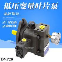Variable vane pump with pressure gauge DVP1-12 15 -70 DVP-20-A3 A2 A2 DVP2-40 DVP2-40