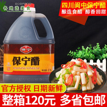 Authentic Baoning Vinegar Grade 2 5L Commercial Fried Vegetable Cold Sour and Sour Powder Chongqing Small Noodles Special Vinegar Sichuan Specialty