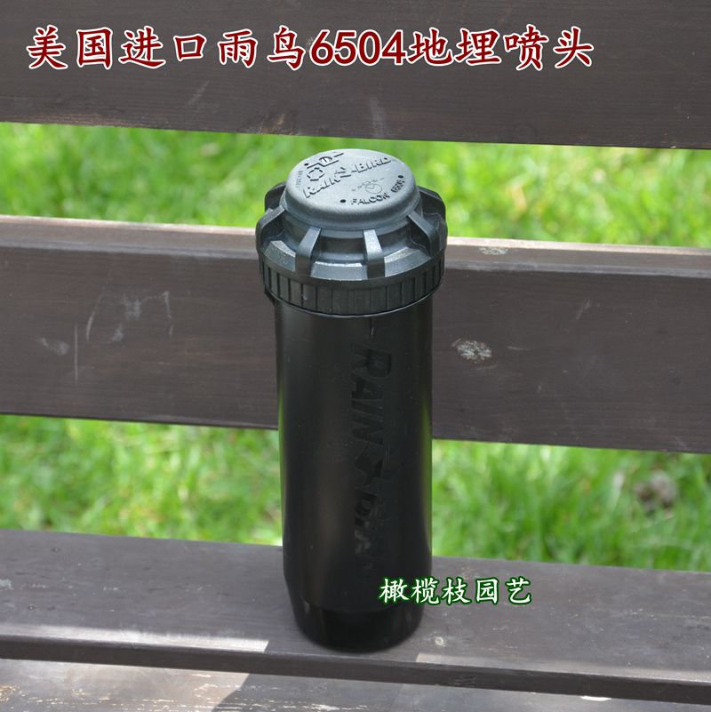 Rainbird 6504 sprinkler head Imported from the United States buried rotary spray automatic lifting watering lawn one inch inner silk buckle