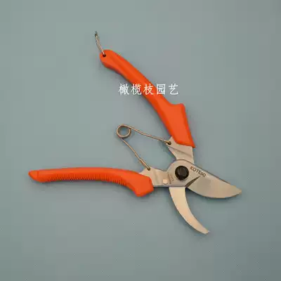 Taiwan Pioneers horticultural pruning shears kt120 imported koteso flower scissors fruit shears
