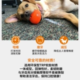 Starmark American Star Dog Dog Dog Toy Pets Toy Toy Поместите игрушечную полусферику