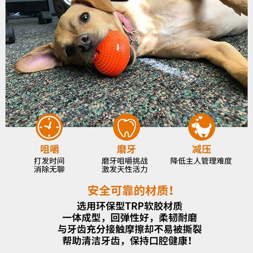 Starmark American Star Dog Dog Dog Toy Pets Toy Toy Поместите игрушечную полусферику