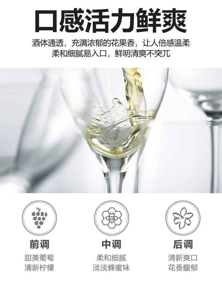 安享好物 安享E级葡萄酒-玛莎诺娅骑士古堡白葡萄酒 国标 