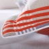 Chần bông gối 1,2m vận chuyển trường hợp dày đôi in bông twill m fastener gối bìa - Gối trường hợp
