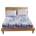 Ga trải giường 1,5 m Váy đơn trải giường phủ bụi ga chun bọc giường spa Trang bị Covers