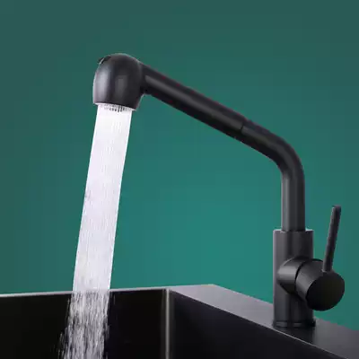 Black kitchen pull-out faucet stainless steel hot and cold double use household sink vegetable sink faucet
