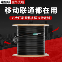 Long Fly Firenfire 4 Core 6 Core 8 Core 12 24 24 48 48 96 96 144 288 Core 288 Core Optical Cable Buried Optical Cable Adss