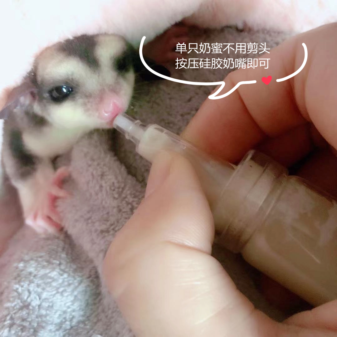 Honey Glider Bottle, Glass Body Silicone Pacifier and Butterfly Bottle