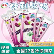 Popsicle Lofa Erie Ranch Milk Raisin Fragrant Milk Honey-stained raisin ice cream 5 ice cream popsicles