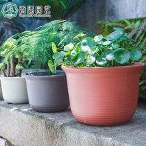 Fleshy flowerpot green plastic medium bowl potted plant special large caliber round imitation ceramic clearance full 38