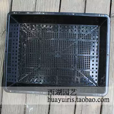Special price IRIS multi-meat nursery box S5 sprouts nursery plate box cuttings Alice multi-meat small square pot