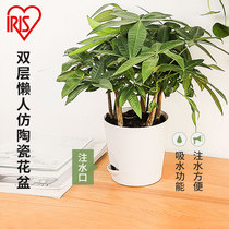 Alice lazy flowerpot double-layer imitation ceramic flowerpot water injection convenient travel worry-free green rolow indoor succulent plant