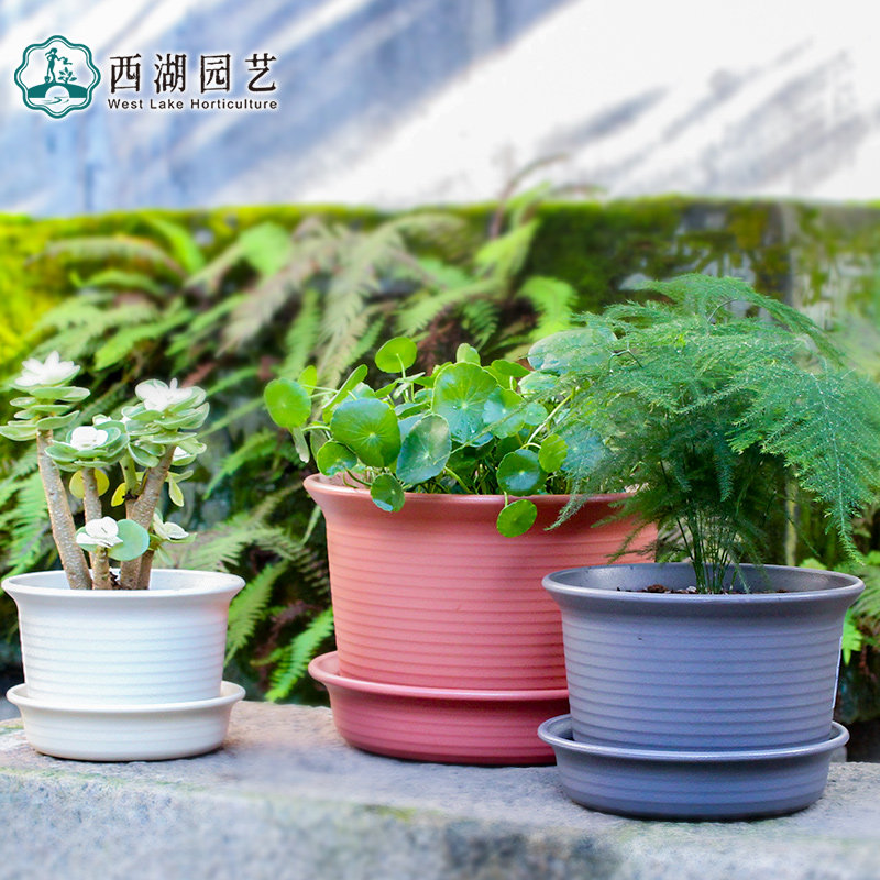 Alice Thickened Round Medium Bowl flowerpots with trays Multi-meat imitation Ceramic Love Lithresin Plastic Flower Pots CUHK-Taobao