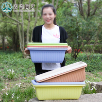 Clearance Alice relief plastic flower pot flower pot rectangular fleshy green plant flower balcony planting pot