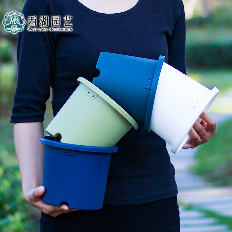 Gallon pot IRIS color deepening pot deep flower pot resin plastic flower pot Alice deeppot