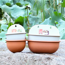 Alice wall hanging semi-round flower pot creative personality pastoral wall resin plastic hanging wall pot to send adhesive hook