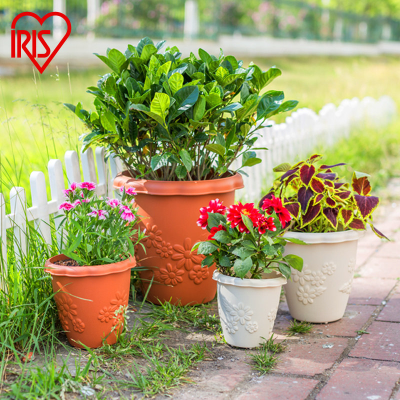 IRISIRIS FLOWL imitation ceramic long bowl relief flower pot Japan Alice resin round succulent flower pot