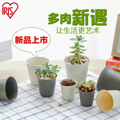 IRISIRIS tabletop meat plant simple flowerpot flower plant plastic Mini Multi-meaty small flowerpot