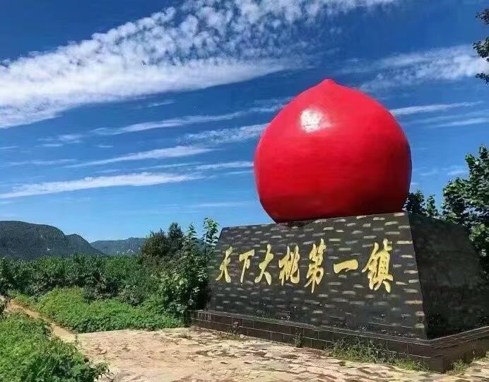 平谷大华山后北宫桃你欢心鲜桃采摘园
