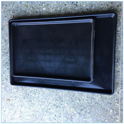 Plastic manure trays are used to hold chicken manure