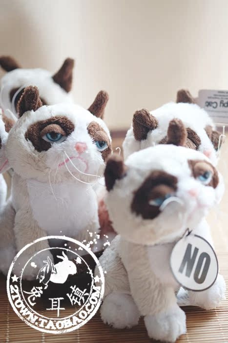 Peluche manga grumpy cat - Ref 2696050 Image 55