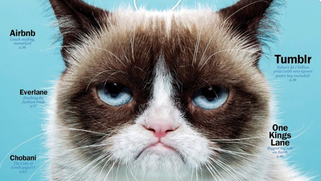 Peluche manga grumpy cat - Ref 2696050 Image 9