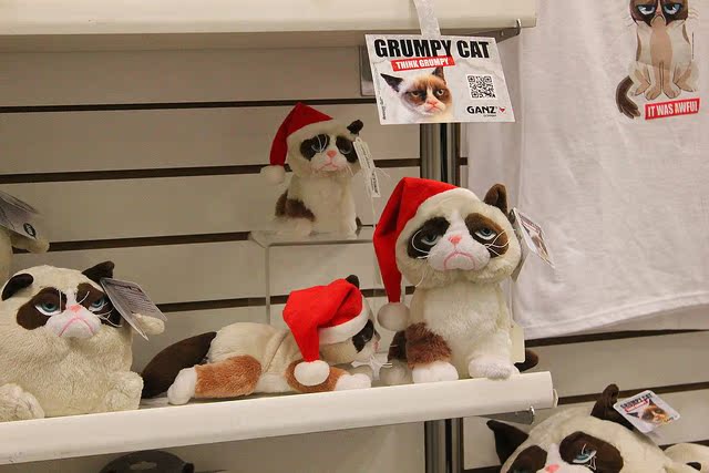 Peluche manga grumpy cat - Ref 2696050 Image 25