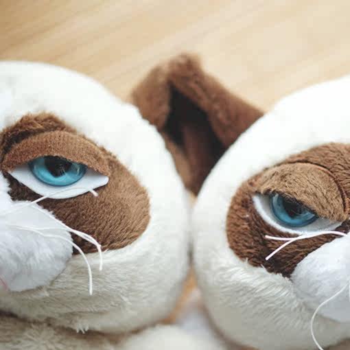 Peluche manga grumpy cat - Ref 2696050 Image 73