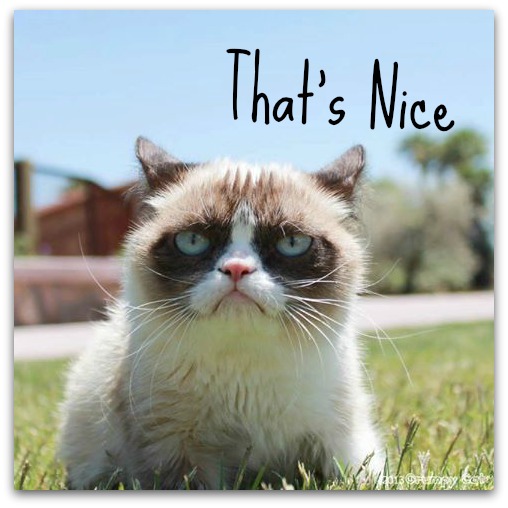 Peluche manga grumpy cat - Ref 2696050 Image 10