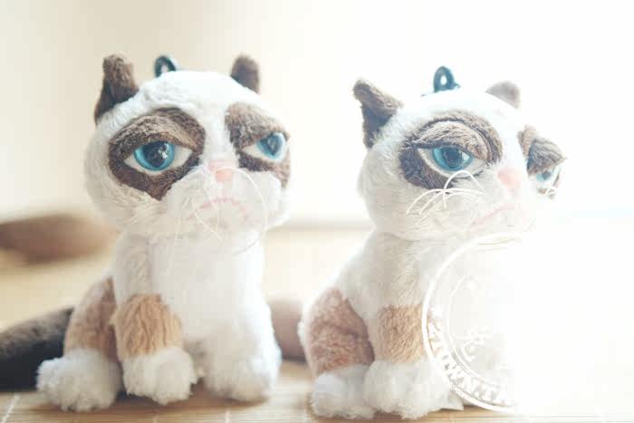 Peluche manga grumpy cat - Ref 2696050 Image 63
