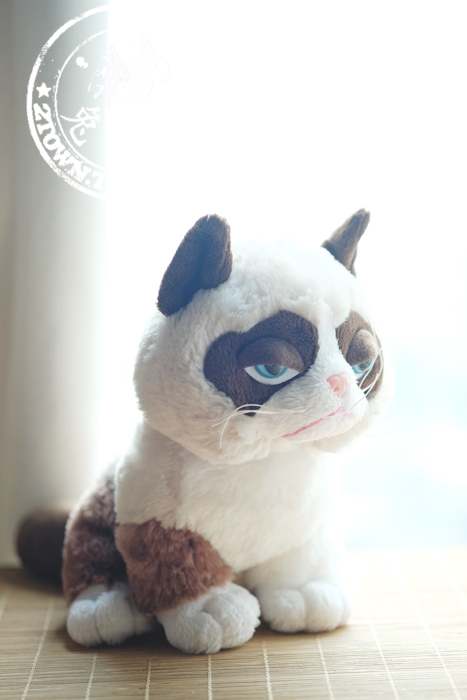 Peluche manga grumpy cat - Ref 2696050 Image 35