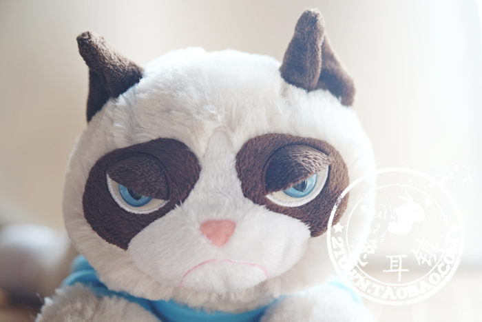 Peluche manga grumpy cat - Ref 2696050 Image 65