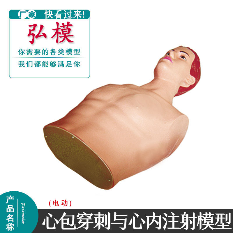 心包穿刺与心内注射仿真电动模型