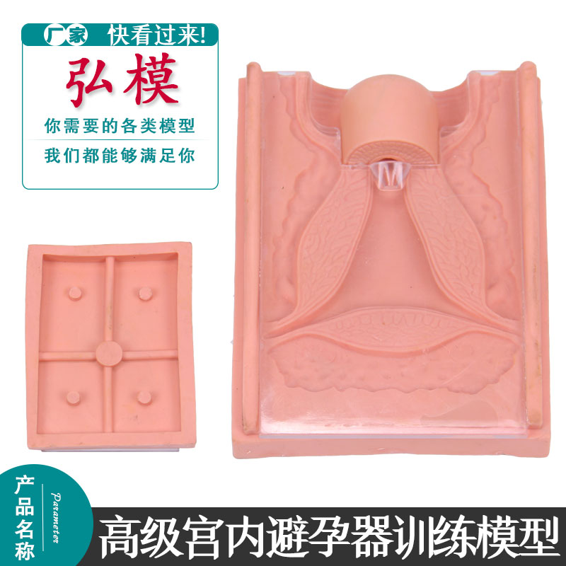 上放取环妇科训练检查模具高级计划生育宫内节育考试模型避孕指导