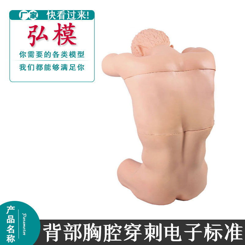弘模背部胸腔穿刺电子标准化病人肩胛骨 肋骨 肋间隙 脊柱棘模型