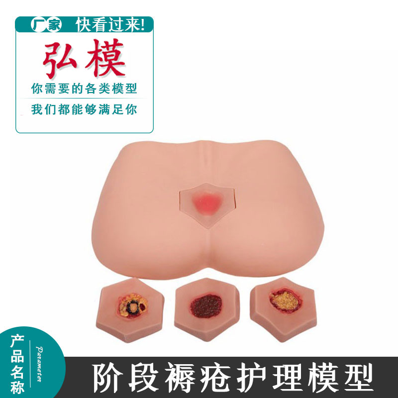 医学用阶段褥疮护理模型压疮面清洗训练模具人体臀部